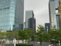 -招商蛇口邮轮母港(观光客运)