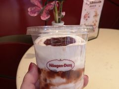 -哈根达斯(合肥天鹅湖店)
