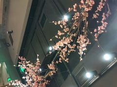 -呷哺呷哺 黄金牧场 (欢乐谷店)