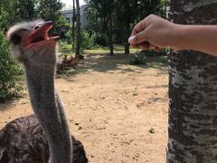 -大连森林动物园