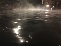 -中铁花水湾四季温泉谷