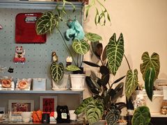 -Dogi&kiki Coffee(中心商务大厦店)