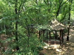 -宝岩生态观光园