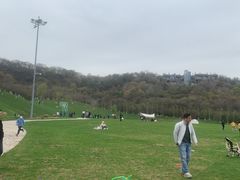 -羊山湖公园