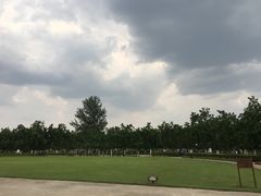 -御林古桑园