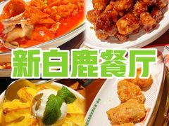 -新白鹿餐厅(城西银泰城店)
