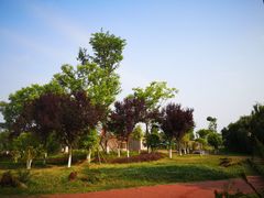 -仙海旅游度假区