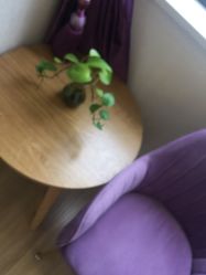 -海豚湾高端月子会所(黄浦店)