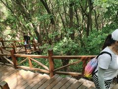 -大岭沟猕猴桃谷风景区