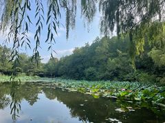 -香山公园