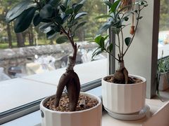 -天厨妙香素食餐厅(清华店)