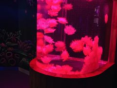 -多彩贵州城极地海洋世界