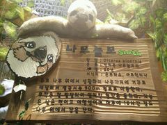 -济州岛泰迪熊博物馆