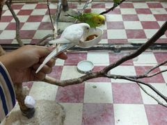 -上海大自然野生昆虫馆(东方明珠·爬宠昆虫探索中心)
