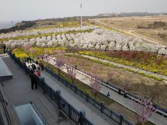 -古柏渡飞黄旅游区