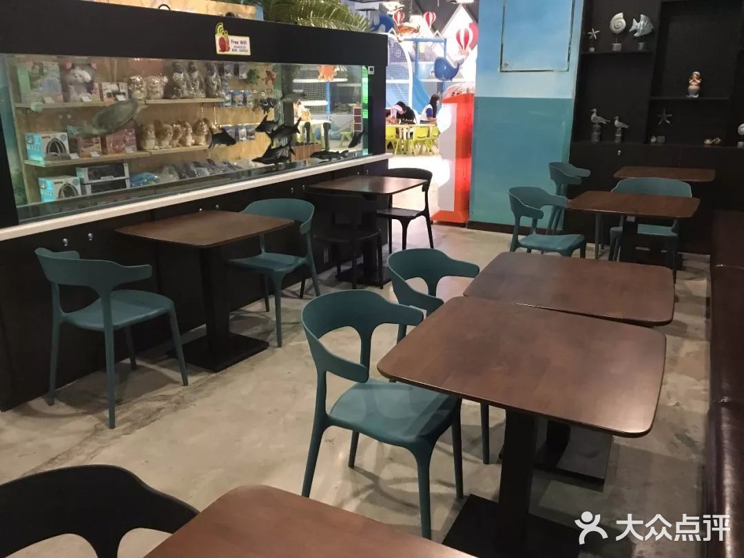 这家萌宠乐园，各种可爱动物撸不停！