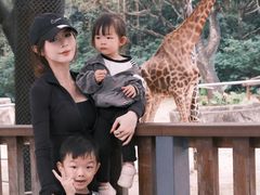 -深圳野生动物园