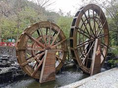 -广州白江湖森林公园