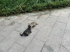 -晓港公园