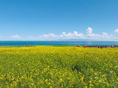 -青海湖国家重点风景名胜区