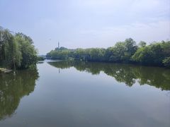 -溱湖国家湿地公园