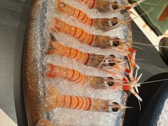 -上井料理黑金店(IFS国金中心店)