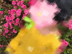 -木兰云雾山