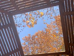 -春晖园度假酒店温泉