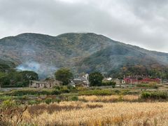 -桃花岛风景旅游区