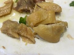 -瑞记湛江鸡饭店·粤西第一鸡(粤垦店)