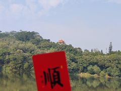 -深圳仙湖植物园