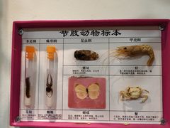 -米果果小镇