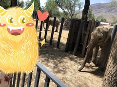 -新疆天山野生动物园