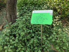 -广东中医药博物馆