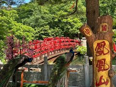 -丹东凤凰山景区