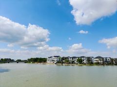 -上海长兴岛郊野公园