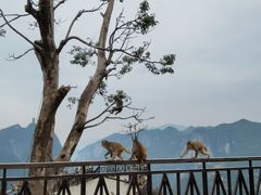 -重庆云阳龙缸景区