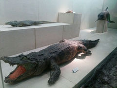 android_upload_pic-广东省博物馆