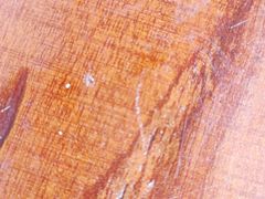 -City1+1城市比萨(国商卫星广场店)