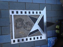 -星光大道