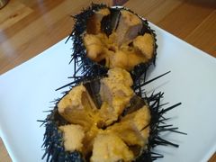 -海胆小馆(东北水饺·春柳店)