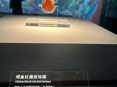 -北京大葆台遗址博物馆