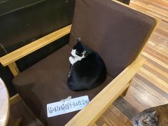 -猫的天空之城概念书店(杭州南宋御街店)