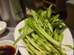 -张凯达·深海石斑鱼潮汕火锅(十五年品牌•虹桥天街店)