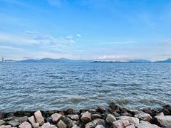 -深圳湾公园(南山区)