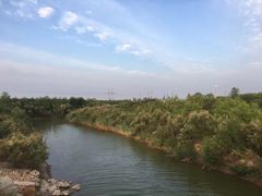 -大港湿地公园