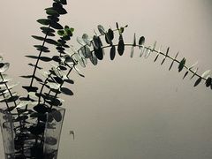 -苏州现代传媒广场商业