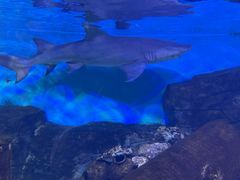 -横店影视城梦幻谷园区