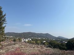 -香雪海