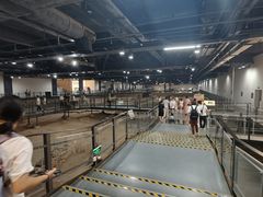 -南越王博物院(王宫展区)